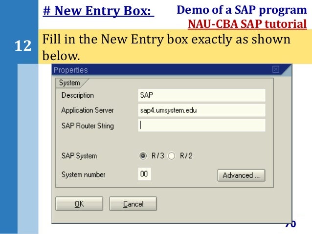 sap for beginners sap for beginners