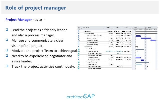 sap implementation and strategies basic guidelines for sap project manager