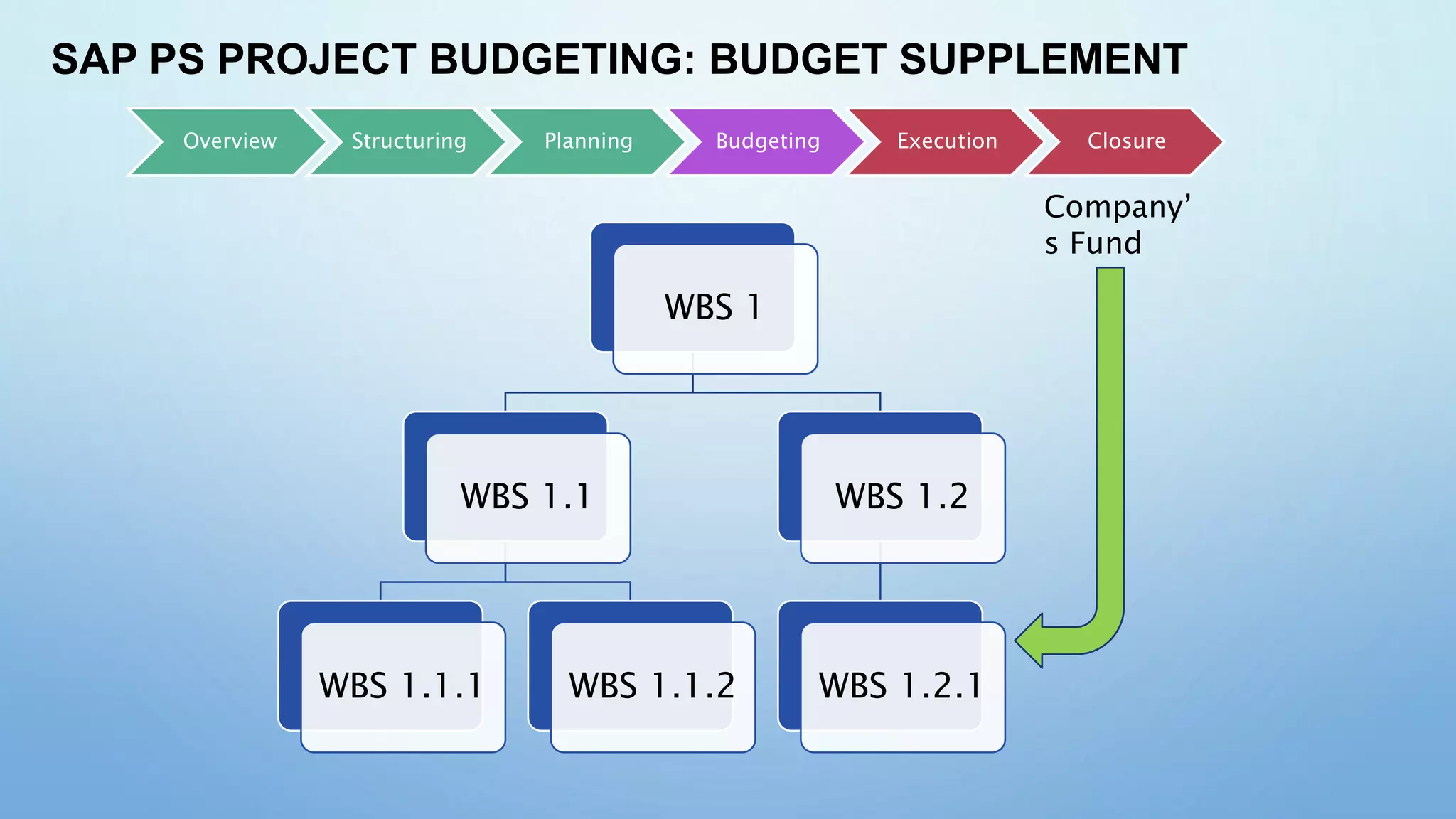 SAP PS PROJECT BUDGETING: BUDGET SUPPLEMENT
WBS 1
WBS 1.1
WBS 1.1.1 WBS 1.1.2
WBS 1.2
WBS 1.2.1
Company’
s Fund
Overview Structuring Planning Budgeting Execution Closure
 