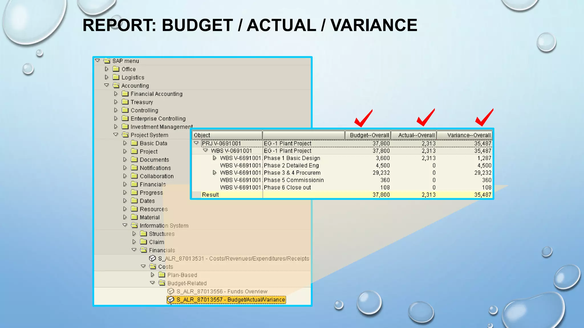 REPORT: BUDGET / ACTUAL / VARIANCE
 