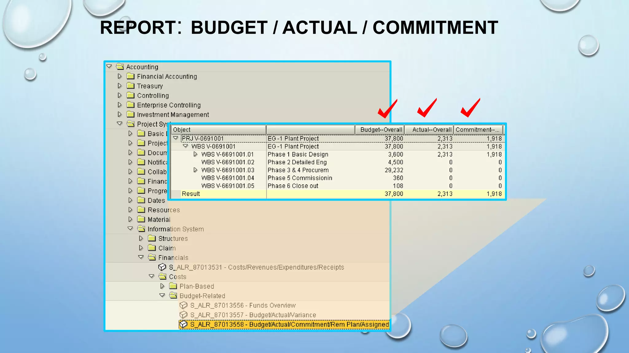 REPORT: BUDGET / ACTUAL / COMMITMENT
 