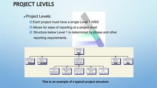Project Level I SAP Project system.pptx