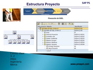 Sap PS project system Consultoria, Entrenamiento | PPTX