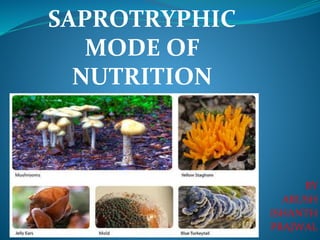 BY
ARUSH
ISHANTH
PRAJWAL
SAPROTRYPHIC
MODE OF
NUTRITION
 