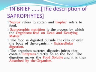 SAPROPHYTIC MODE OF NUTRITION IN PLANTS PPT