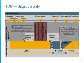 SUM – Upgrade only
20
 