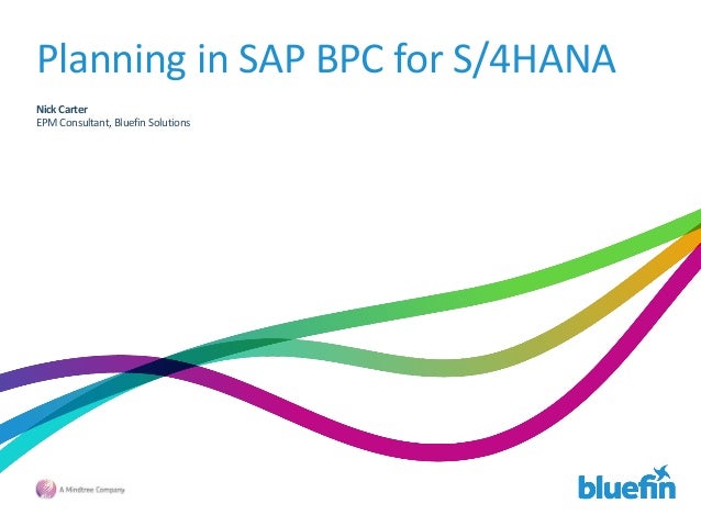 sap bpc wiki sap bpc wiki