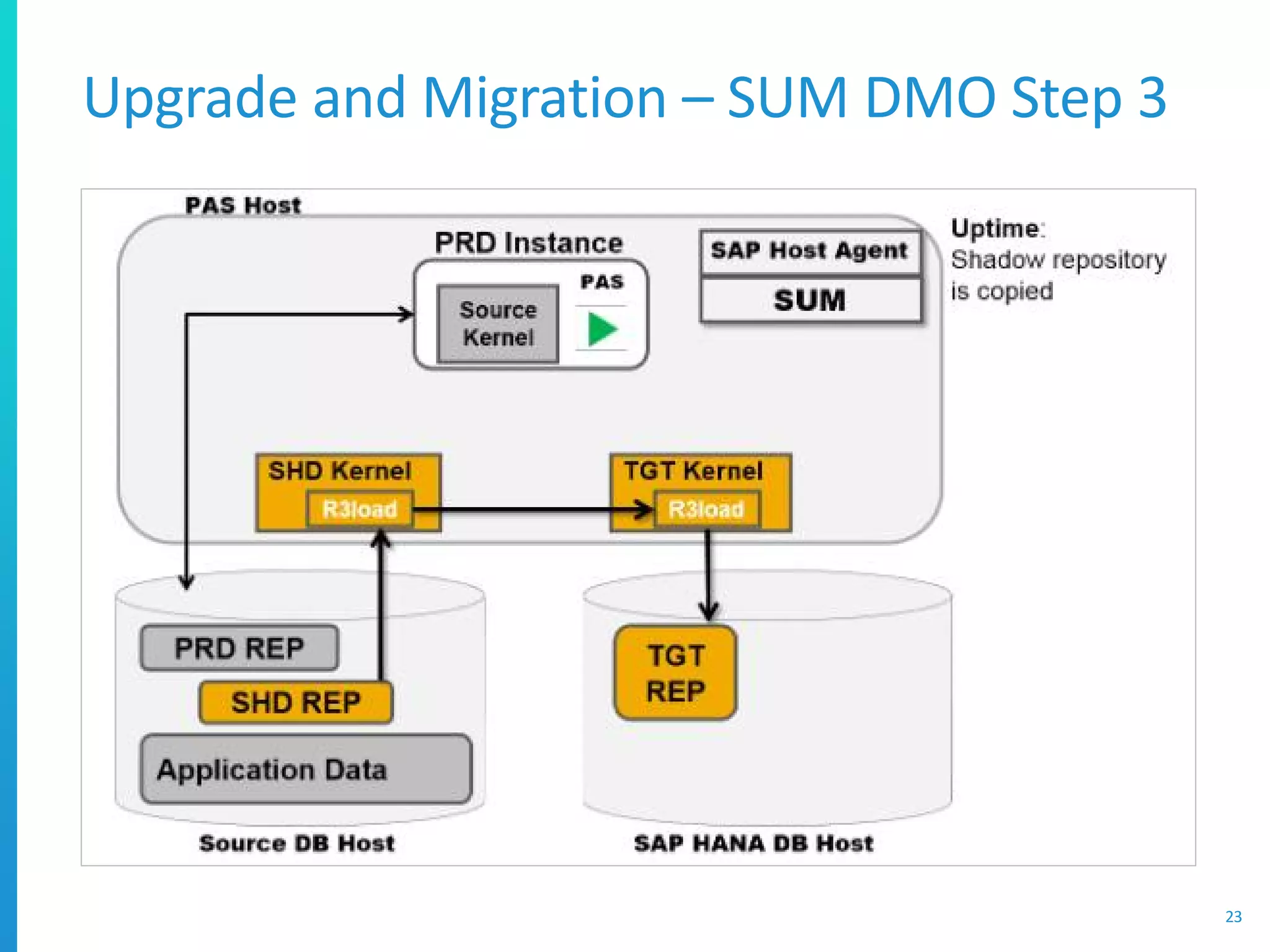 Upgrade and Migration – SUM DMO Step 3
23
 