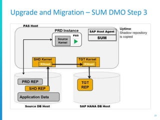 Upgrade and Migration – SUM DMO Step 3
23
 