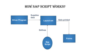 Sap script from the scratch and components. Pptx | PPTX