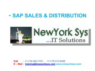 • SAP SALES & DISTRIBUTION




 Call     : +1-718-305-1757, +1-718-313-0499
 E – Mail : training@newyorksys.com www.newyorksys.com
 