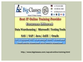 http://www.bigclasses.com/sap-sd-online-training.html
 