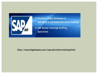 http://www.bigclasses.com/sap-sd-online-training.html
 