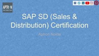 SAP SD Certification Course in Noida.pdf