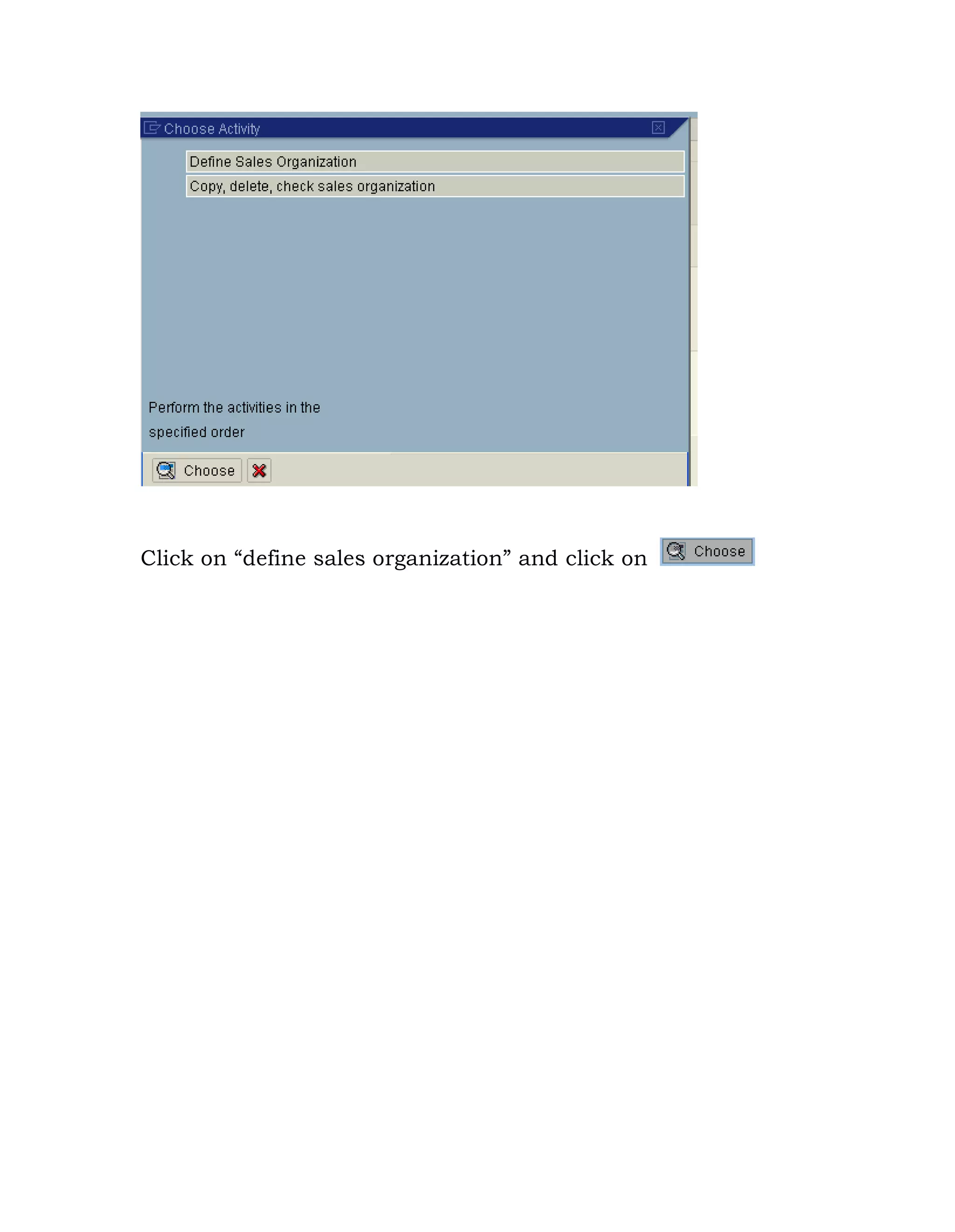 Click on “define sales organization” and click on
 