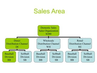 Sales Area
Domestic Sales
Sales Organization
SO00
Direct
Distribution Channel
DI
Wholesale
Distribution Channel
WH
Retail
Distribution Channel
RE
Baseball
Division
BB
Softball
Division
SB
Baseball
Division
BB
Softball
Division
SB
Baseball
Division
BB
Softball
Division
SB
 