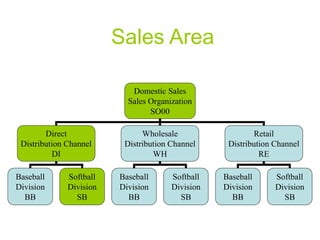 Sales Area
Domestic Sales
Sales Organization
SO00
Direct
Distribution Channel
DI
Wholesale
Distribution Channel
WH
Retail
Distribution Channel
RE
Baseball
Division
BB
Softball
Division
SB
Baseball
Division
BB
Softball
Division
SB
Baseball
Division
BB
Softball
Division
SB
 