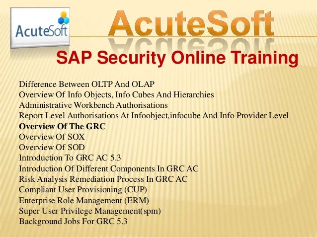 Sap security online training
