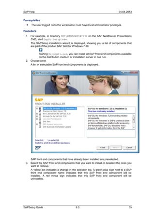Sap setup guide | PDF