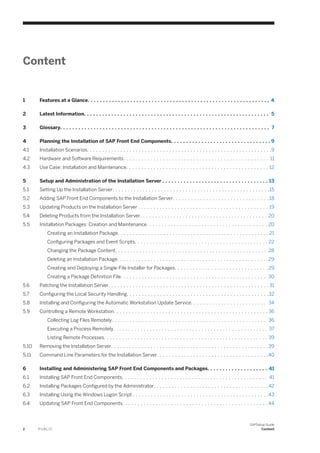 Sap setup guide | PDF
