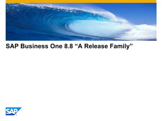 SAP Business One 8.8 “A Release Family”
 