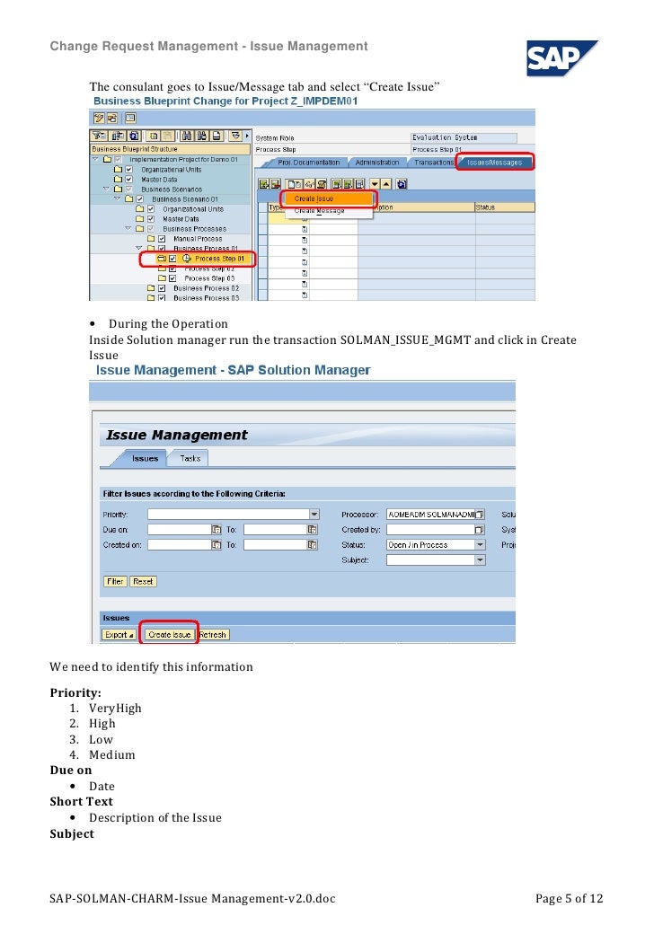 Sap Solman Charm Issue Management