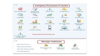 SAP Success Factors (1).pptx