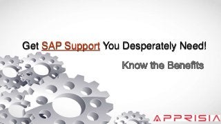 Get SAP Support You Desperately Need!
 