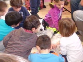 Επίσκεψη της Sapt hellas(σκύλοι θεραπείας Ελλάδας)