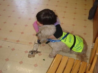 Επίσκεψη της Sapt hellas(σκύλοι θεραπείας Ελλάδας)