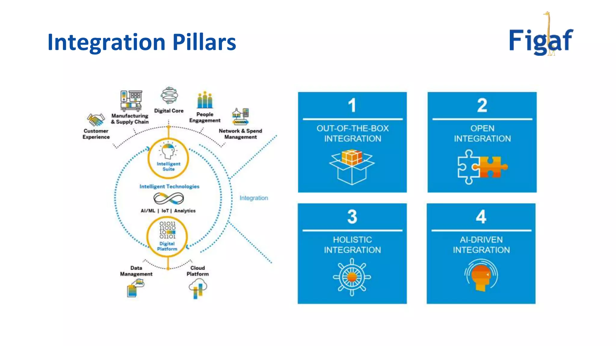 Integration Pillars
 