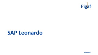 SAP Leonardo
© Figaf 2017
 