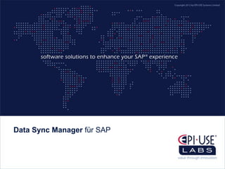 Data Sync Manager für SAP
 