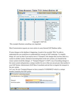 Sap Customization Records Sap tranport,customization request | DOCX