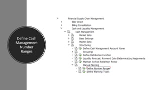 SAP TREASURY_Money Market.pptx