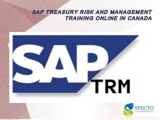 SAP TREASURY RISK AND MANAGEMENT
TRAINING ONLINE IN CANADA
 