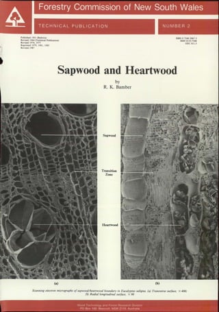 TECHNICAL PUBLICATION
Published 1961 (Bulletin)
Revised 1964 (Technical Publication)
Revised 1974, 1977
Reprinted 1979, 1981, 1983
Revised 1987
ISBN 0 7240 2067 S
ISSN 0 1SS-7S48
Doe 811.5
Sapwood and Heartwood
by
R. K. Bamber
Sapwood
Transition
Zone
Heartwood
(b)
Scanning electron micrographs ofsapwood/heartwood boundary in Eucalyptus sa/igna. (a) Transverse surface. X 400;
(b) Radial longitudinal surface. X 90

Wood Technology and Forest Research Division '
, PO Box 100 Beec roll. NSW 2119 Australia I
I .___ _ _ . .
 