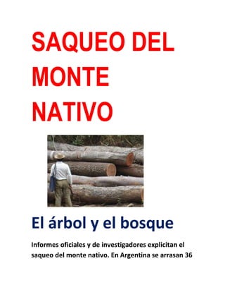 SAQUEO DEL
MONTE
NATIVO
El árbol y el bosque
Informes oficiales y de investigadores explicitan el
saqueo del monte nativo. En Argentina se arrasan 36
 