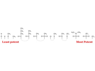 CH3
                         CH2       CH3
                                                                                          H3C       CH3
H        CH3             CH2       CH2       CH3       CH3          CH3       CH3   CF3         N             CF3
O    H   O     CH3   O   C     O   C     O   C     O   S   O   Cl   S     O   S     S      O    S   O     O   S     O   CF3



    Least potent                                                                                Most Potent
 