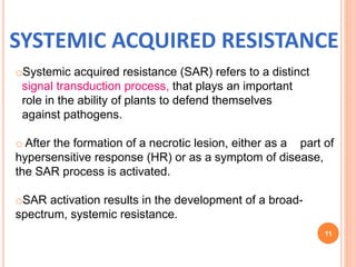 SYSTEMIC ACQUIRED RESISTANCE
oSystemic acquired resistance (SAR) refers to a distinct
signal transduction process, that plays an important
role in the ability of plants to defend themselves
against pathogens.
o After the formation of a necrotic lesion, either as a part of
hypersensitive response (HR) or as a symptom of disease,
the SAR process is activated.
oSAR activation results in the development of a broad-
spectrum, systemic resistance.
11
 