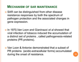 MECHANISM OF SAR MAINTENANCE
 SAR can be distinguished from other disease
resistance responses by both the spectrum of
pathogen protection and the associated changes in
gene expression.
 In 1970,Van Loon and Gianinazzi et al showed that
viral infection of tobacco induced the accumulation of
a distinct set of proteins , called pathogenesis-related
proteins (PR proteins).
 Van Loon & Antoniw demonstrated that a subset of
PR proteins (acidic-extracellular forms) accumulated
during the onset of resistance. 15
 
