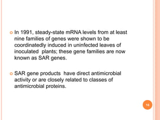  In 1991, steady-state mRNA levels from at least
nine families of genes were shown to be
coordinatedly induced in uninfected leaves of
inoculated plants; these gene families are now
known as SAR genes.
 SAR gene products have direct antimicrobial
activity or are closely related to classes of
antimicrobial proteins.
16
 