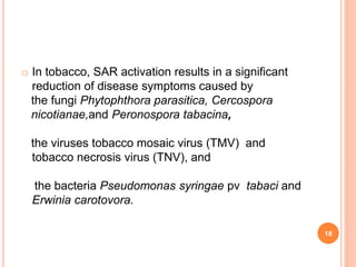 o In tobacco, SAR activation results in a significant
reduction of disease symptoms caused by
the fungi Phytophthora parasitica, Cercospora
nicotianae,and Peronospora tabacina,
the viruses tobacco mosaic virus (TMV) and
tobacco necrosis virus (TNV), and
the bacteria Pseudomonas syringae pv tabaci and
Erwinia carotovora.
18
 