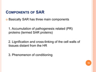 COMPONENTS OF SAR
 Basically SAR has three main components
1. Accumulation of pathogenesis related (PR)
proteins (termed SAR proteins)
2. Lignification and cross-linking of the cell walls of
tissues distant from the HR
3. Phenomenon of conditioning
19
 