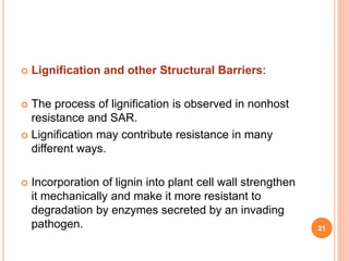  Lignification and other Structural Barriers:
 The process of lignification is observed in nonhost
resistance and SAR.
 Lignification may contribute resistance in many
different ways.
 Incorporation of lignin into plant cell wall strengthen
it mechanically and make it more resistant to
degradation by enzymes secreted by an invading
pathogen. 21
 