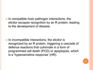  In compatible host–pathogen interactions, the
elicitor escapes recognition by an R protein, leading
to the development of disease.
 In incompatible interactions, the elicitor is
recognized by an R protein, triggering a cascade of
defence reactions that culminate in a form of
programmed cell death (PCD) or apoptopsis, which
is a 'hypersensitive response’ (HR).
27
 