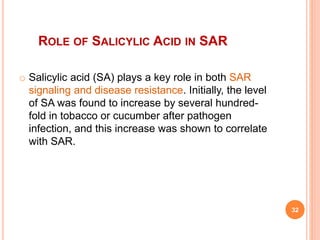 ROLE OF SALICYLIC ACID IN SAR
o Salicylic acid (SA) plays a key role in both SAR
signaling and disease resistance. Initially, the level
of SA was found to increase by several hundred-
fold in tobacco or cucumber after pathogen
infection, and this increase was shown to correlate
with SAR.
32
 
