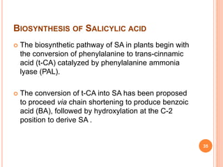 BIOSYNTHESIS OF SALICYLIC ACID
 The biosynthetic pathway of SA in plants begin with
the conversion of phenylalanine to trans-cinnamic
acid (t-CA) catalyzed by phenylalanine ammonia
lyase (PAL).
 The conversion of t-CA into SA has been proposed
to proceed via chain shortening to produce benzoic
acid (BA), followed by hydroxylation at the C-2
position to derive SA .
35
 