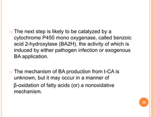 o The next step is likely to be catalyzed by a
cytochrome P450 mono oxygenase, called benzoic
acid 2-hydroxylase (BA2H), the activity of which is
induced by either pathogen infection or exogenous
BA application.
o The mechanism of BA production from t-CA is
unknown, but it may occur in a manner of
β-oxidation of fatty acids (or) a nonoxidative
mechanism.
36
 