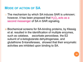 MODE OF ACTION OF SA
o The mechanism by which SA induces SAR is unknown;
however, it has been proposed that H2O2 acts as a
second messenger of SA in SAR signaling.
 Biochemical screens for SA-binding proteins, by Klessig
et al. resulted in the identification of multiple enzymes,
such as catalase, ascorbate peroxidase, the E2
subunit of α-ketoglutarate dehydrogenase, and
glutathione S-transferases, showed that their enzymatic
activities are inhibited upon binding to SA.
38
 